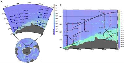 Distributions and relationships of virio- and picoplankton in the epi-, meso- and bathypelagic zones of the Amundsen Sea, West Antarctica during the austral summer